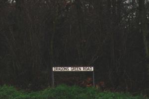 Saint Leonards Forest (Sussex)